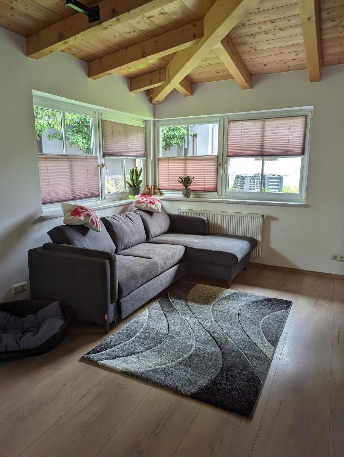 Ferienwohnung Trixi Hollersbach im Pinzgau Exteriör bild